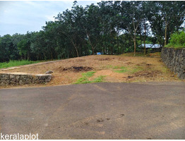 7 cent land for sale near Vettikkal Thiruvaniyur Global School