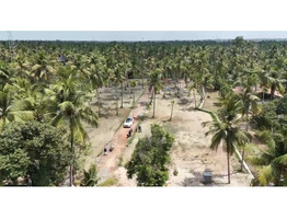 House plots for sale near  guruvayoor thrissur district