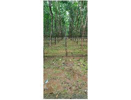 2.21 acers land for sale near kattukulam, thannikunnu