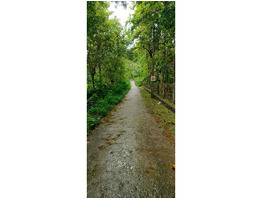 2.21 acers land for sale near kattukulam, thannikunnu