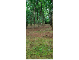 2.21 acers land for sale near kattukulam, thannikunnu