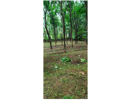2.21 acers land for sale near kattukulam, thannikunnu