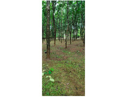 2.21 acers land for sale near kattukulam, thannikunnu
