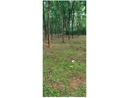 2.21 acers land for sale near kattukulam, thannikunnu