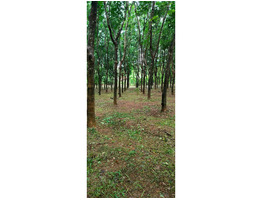 2.21 acers land for sale near kattukulam, thannikunnu