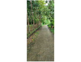 2.21 acers land for sale near kattukulam, thannikunnu