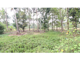 48 cent land for sale near koratty National Highway