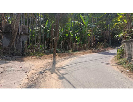 30 cent land for sale near Sree Nhangattiri Bhagavathy Temple