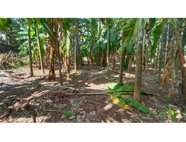 30 cent land for sale near Sree Nhangattiri Bhagavathy Temple