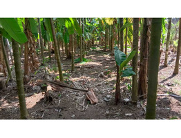 30 cent land for sale near Sree Nhangattiri Bhagavathy Temple