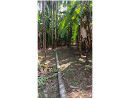30 cent land for sale near Sree Nhangattiri Bhagavathy Temple