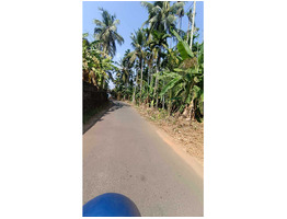 30 cent land for sale near Sree Nhangattiri Bhagavathy Temple