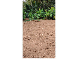 6.5 cent land for sale near poojapura, Mudavanmugal