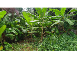 6.5 cent land for sale near poojapura, Mudavanmugal