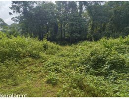 15 cent Land for sale Near Kidangoor Town
