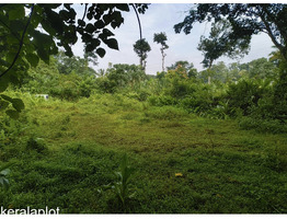 15 cent Land for sale Near Kidangoor Town