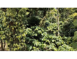 1 Acers Land For sale Near Manathavady