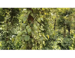 1 Acers Land For sale Near Manathavady