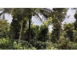 1 Acers Land For sale Near Manathavady