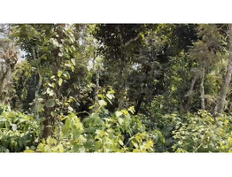 1 Acers Land For sale Near Manathavady