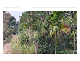 1.2 Acers Land for sale near by Vellikulam Church