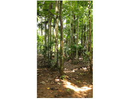 10 cent & 50 cent land with House for sale near nedumpara kavala
