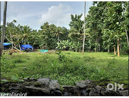 26.5 Cent Land for salr Near Kumbanad, Kadapra junction