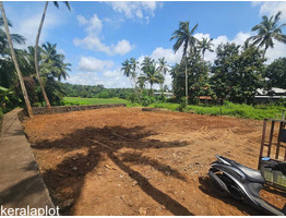11.5 cent Commercial Land for Lease/Rent palakkad