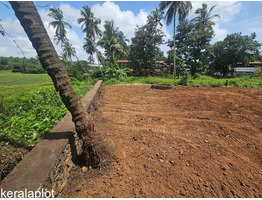 11.5 cent Commercial Land for Lease/Rent palakkad