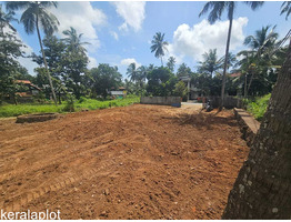 11.5 cent Commercial Land for Lease/Rent palakkad