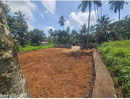 11.5 cent Commercial Land for Lease/Rent palakkad