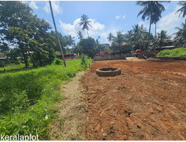 11.5 cent Commercial Land for Lease/Rent palakkad