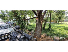15 cent Land For Sale