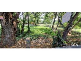 15 cent Land For Sale