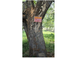 15 cent Land For Sale