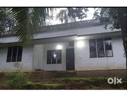1.34 Acers Land For sale ponnamkayam