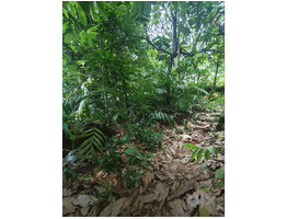 1.34 Acers Land For sale ponnamkayam