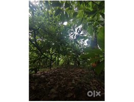 1.34 Acers Land For sale ponnamkayam