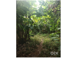 1.34 Acers Land For sale ponnamkayam