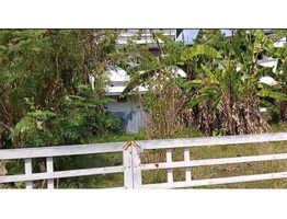 7.5 cent land for sale near Kuriachira junction Thrissur District