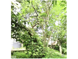 27 cent land for sale near Pangode Miltary Camp