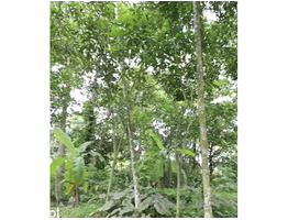 27 cent land for sale near Pangode Miltary Camp