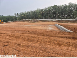 2.9 Acers land for sale near Ayoor junction