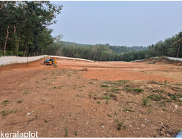 2.9 Acers land for sale near Ayoor junction