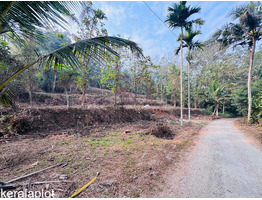 18 cent land for sale Thekkummury, Cherpunkal, Kottayam