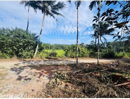 18 cent land for sale Thekkummury, Cherpunkal, Kottayam