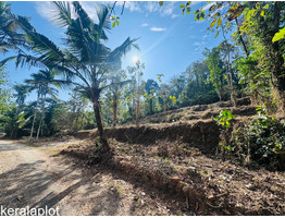 18 cent land for sale Thekkummury, Cherpunkal, Kottayam