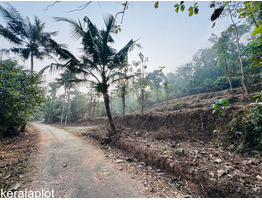 18 cent land for sale Thekkummury, Cherpunkal, Kottayam