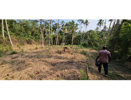 60 cent land for sale near vizhinjam kottukal village