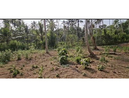 60 cent land for sale near vizhinjam kottukal village